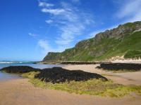 Algenüberzogene Felsen am Five Finger Strand - Co. Donegal